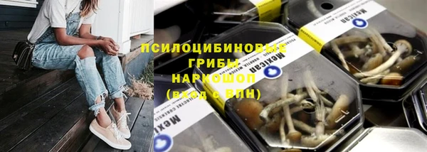 бошки Армянск